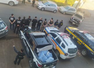 Polícia Civil de Patos de Minas incinera mais de 600 quilos de drogas apreendidas