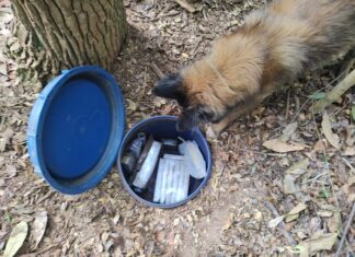 Polícia Militar apreende droga enterrada em barril e encaminha quatro pessoas suspeitas de tráfico para a delegacia