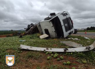 Cruzeiro da Fortaleza – Motorista de caminhão carregado com limão fica ferido em acidente na BR-146