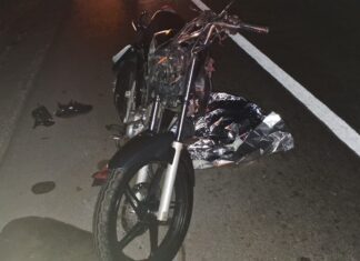 Acidente fatal na BR-262: Motociclista de 29 anos morre após colidir contra animal na rodovia