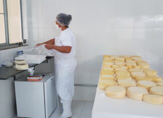 Emater-MG lança cartilha com o passo a passo das boas práticas de fabricação de queijos artesanais