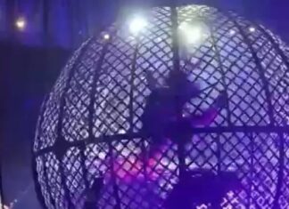 Patrocínio – Motociclista do circo sofre acidente durante show no globo da morte