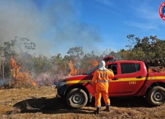Incêndio destruiu cerca de 540 hectares na Região do Pântano; no município de Coromandel