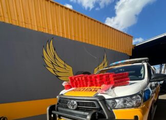 Polícia Militar Rodoviária apreende carregamento de maconha avaliado em aproximadamente 900 mil reais na MGC-354; em Patos de Minas