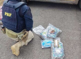 PRF prende homem que transporta vários tipos de drogas dentro de ônibus na BR-365, em Patos de Minas