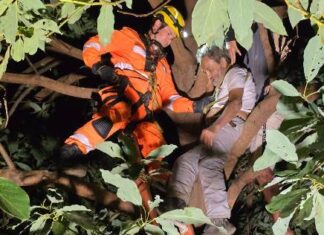 Patos de Minas – Homem de 67 anos é resgatado após subir em pé de goiabeira e não conseguir descer de uma altura de 7 metros