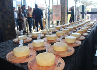 Lagoa Formosa sedia o 15º Concurso de Queijo Minas Artesanal do Cerrado