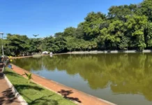 Patos de Minas – Adolescentes matam aula e são flagrados em ato sexual na mata do Parque do Mocambo