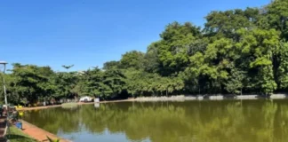 Patos de Minas – Adolescentes matam aula e são flagrados em ato sexual na mata do Parque do Mocambo