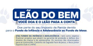 Leão do Bem incentiva doação do Imposto de Renda para fundos sociais em Carmo do Paranaíba