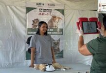 Mutirão de castração supera meta e reforça combate ao abandono animal em Patos de Minas