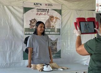 Mutirão de castração supera meta e reforça combate ao abandono animal em Patos de Minas