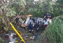 João Pinheiro – Motorista de 33 anos morre após carro sair da pista e bater em árvore na BR-365