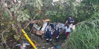 João Pinheiro – Motorista de 33 anos morre após carro sair da pista e bater em árvore na BR-365