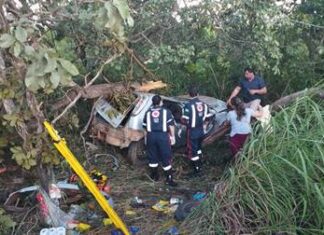 João Pinheiro – Motorista de 33 anos morre após carro sair da pista e bater em árvore na BR-365