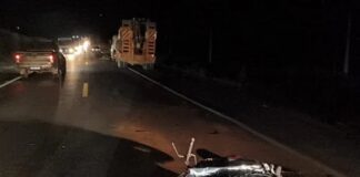 Motociclista colide contra traseira de caminhão prancha na BR-365 e morre, em Patos de Minas