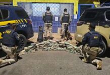 PRF com apoio da Polícia Militar apreende grande quantidade de drogas escondidas em pneus de caminhão na BR-365, em Patos de Minas
