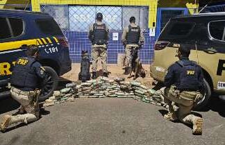 PRF com apoio da Polícia Militar apreende grande quantidade de drogas escondidas em pneus de caminhão na BR-365, em Patos de Minas