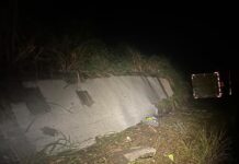 Caminhão carregado com cenouras tomba na “Curva do Belvedere” na BR-354 em Rio Paranaíba