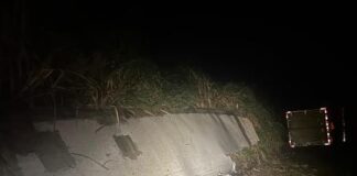 Caminhão carregado com cenouras tomba na “Curva do Belvedere” na BR-354 em Rio Paranaíba