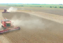 Patos de Minas – Agro mineiro movimenta US$ 3,93 bilhões e reforça protagonismo no setor