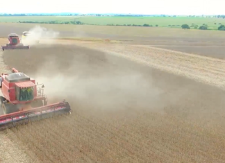 Patos de Minas – Agro mineiro movimenta US$ 3,93 bilhões e reforça protagonismo no setor
