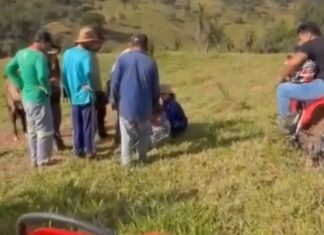 Idosa desaparecida em Quintinos é encontrada com vida após mobilização da população