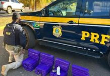 Patos de Minas – PRF apreende 72 barras de maconha e prende homem por tráfico na BR-365