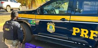 Patos de Minas – PRF apreende 72 barras de maconha e prende homem por tráfico na BR-365