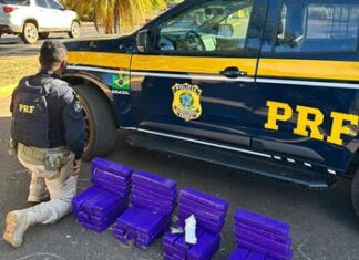 Patos de Minas – PRF apreende 72 barras de maconha e prende homem por tráfico na BR-365