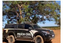 São Gotardo – Gato é morto após sessão de agressões; mulher é indiciada por maus-tratos