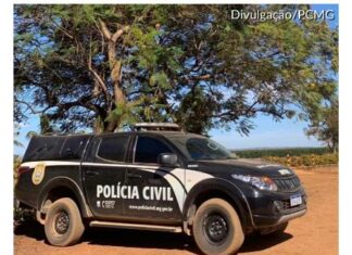São Gotardo – Gato é morto após sessão de agressões; mulher é indiciada por maus-tratos