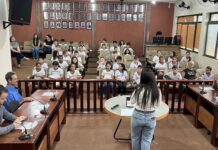Carmo do Paranaíba – Mais de 500 alunos vivenciam a cidadania em visitas à Câmara por meio da Escola do Legislativo