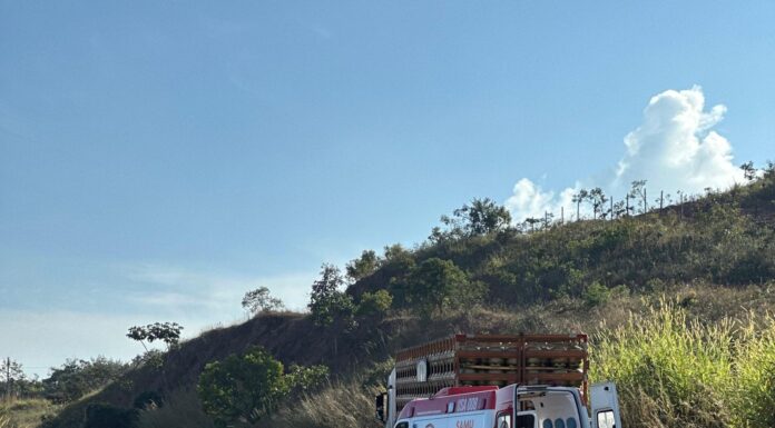 Motorista de 69 anos morre ao lado de carreta de gás de cozinha na BR-352, em Carmo do Paranaíba