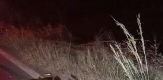 Idoso morre após ser atropelado na BR-352, em Lagoa Formosa