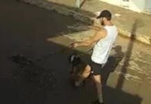 Pit bulls atacam e matam cachorro no bairro Chácaras Caiçaras, em Patos de Minas