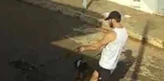 Pit bulls atacam e matam cachorro no bairro Chácaras Caiçaras, em Patos de Minas