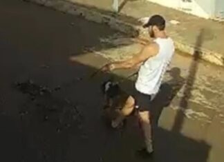 Pit bulls atacam e matam cachorro no bairro Chácaras Caiçaras, em Patos de Minas