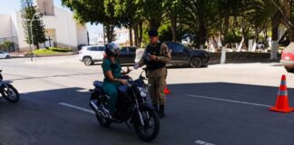 CRLV 2026: fiscalização começa nesta terça-feira (1º) em MG; veja quem será cobrado