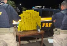PRF de Patos de Minas apreende mais de 200 quilos de maconha em duas ações que ocorreram simultaneamente na BR-365 e prende três suspeitos