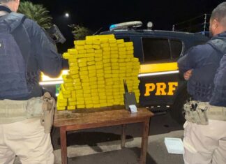 PRF de Patos de Minas apreende mais de 200 quilos de maconha em duas ações que ocorreram simultaneamente na BR-365 e prende três suspeitos