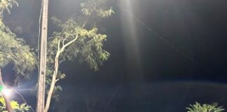 PRF apreende grande quantidade de maconha em veículo que seguia de Uberlândia para Montes Claros; dois homens são presos
