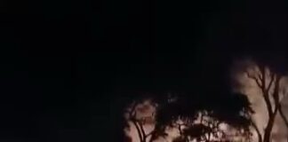 Carmo do Paranaíba – Incêndio assusta moradores e atinge área de vegetação entre bairros; VEJA VÍDEO