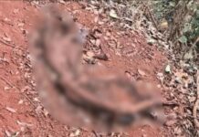 Ossada humana é encontrada às margens da BR-354, próximo ao distrito de Chaves, em Rio Paranaíba