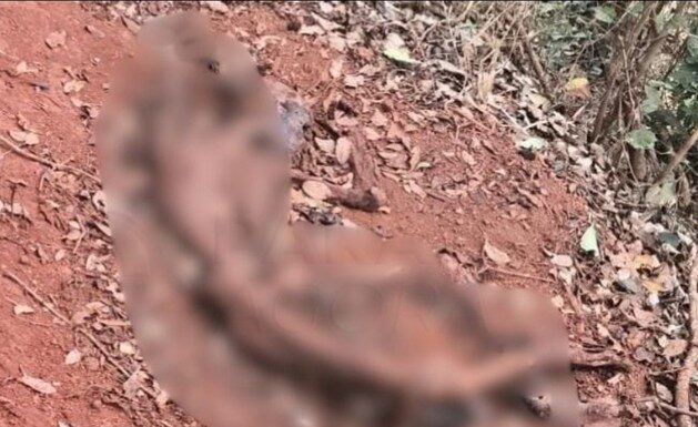 Ossada humana é encontrada às margens da BR-354, próximo ao distrito de Chaves, em Rio Paranaíba